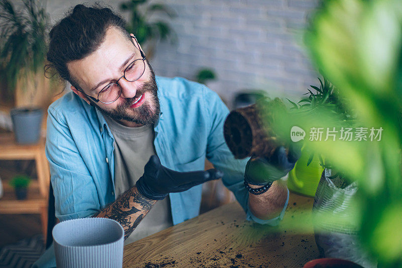 一个人在看他新种植的室内植物的根