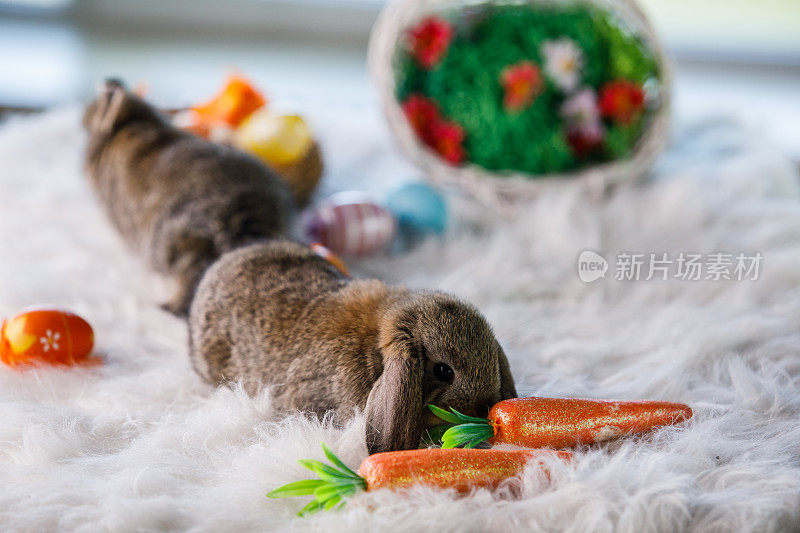 两只可爱的兔子和复活节的装饰品