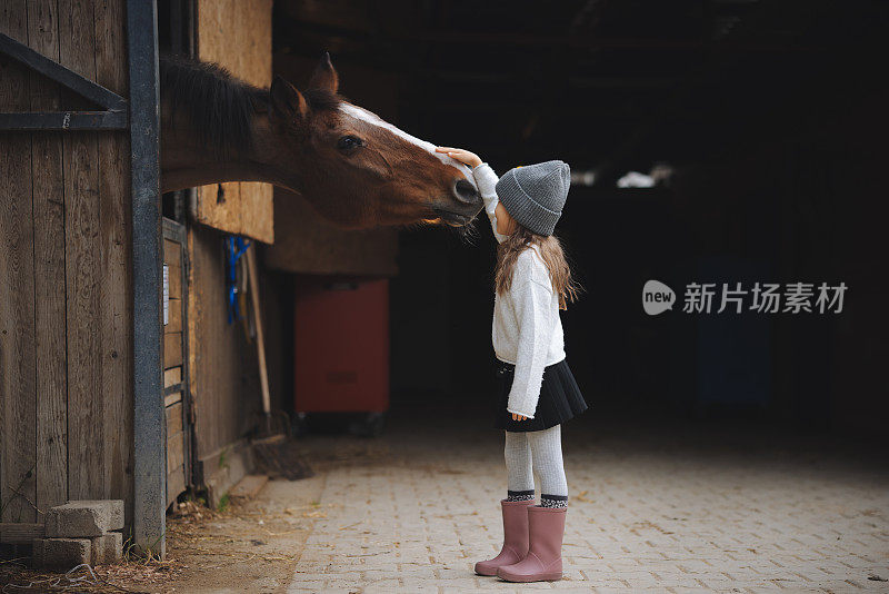 小女孩和马厩里的马的画像