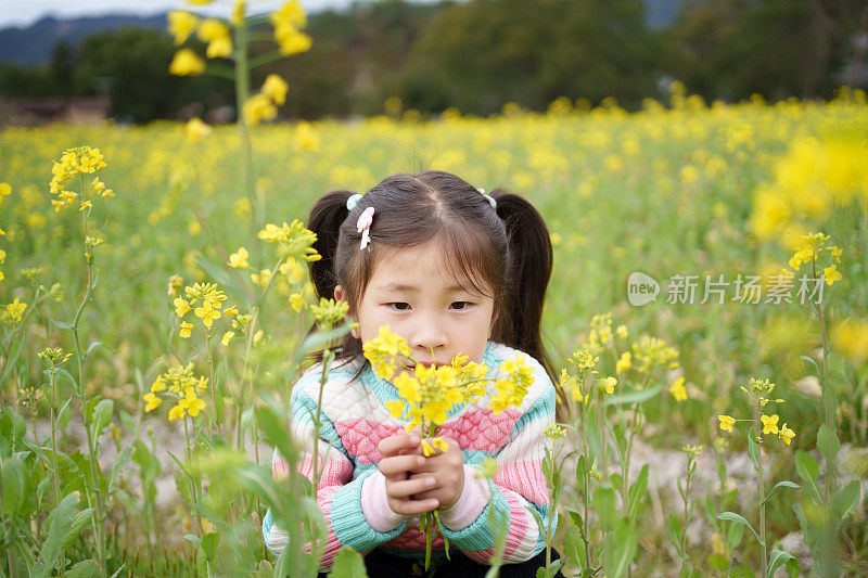 油菜地里的小女孩