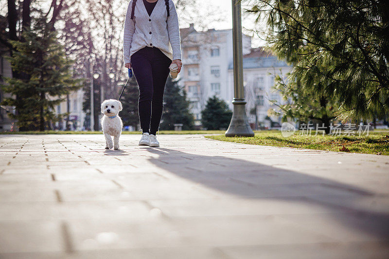 日落时分，一位年轻女子带着一只马尔济斯犬在城市里散步
