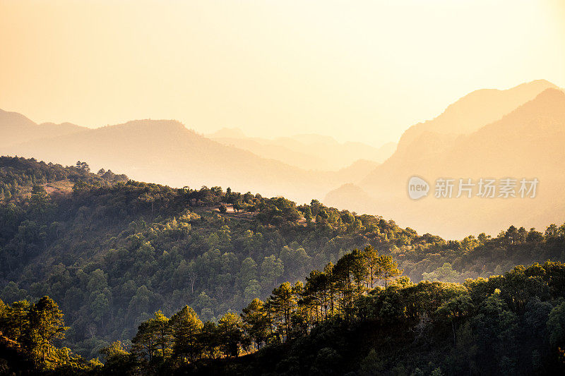 自然旅游理念:雾蒙蒙的夏天为树木和山与雾景观在早晨的时间与橙色光。