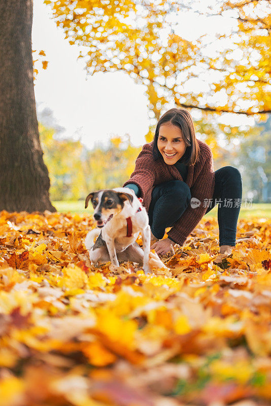 快乐的年轻女子抱着欢快的狗在户外的秋天