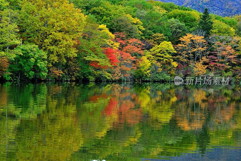 秋色Kagami-ike(镜池)，长野，日本