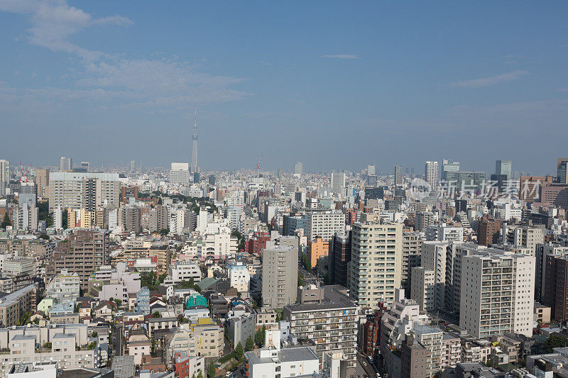 东京天际线和东京天空树在日本