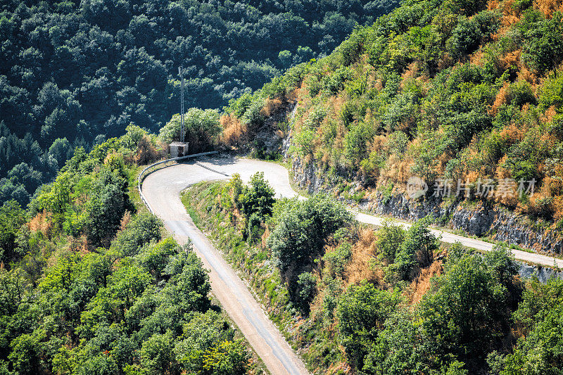 鸟瞰图，曲山单车道道路中间茂密的树叶林地，绿树在夏季