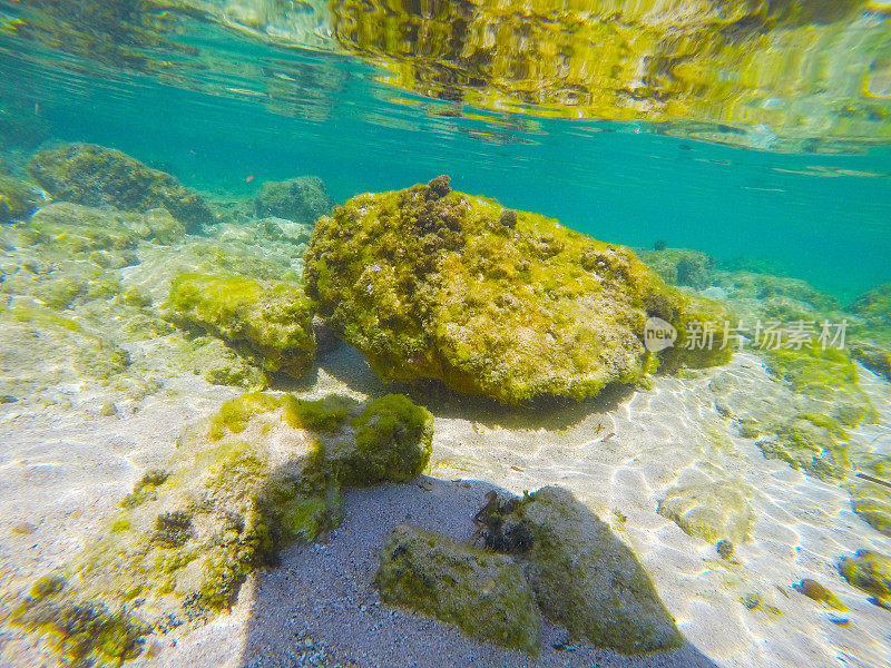阿尔盖罗海底的岩石和沙子