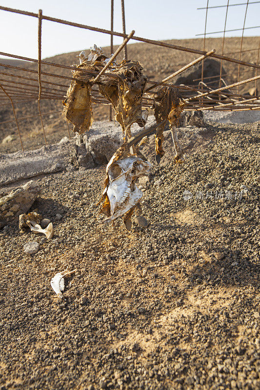 围栏里的死山羊——富尔特温特鲁瓦；巴约山