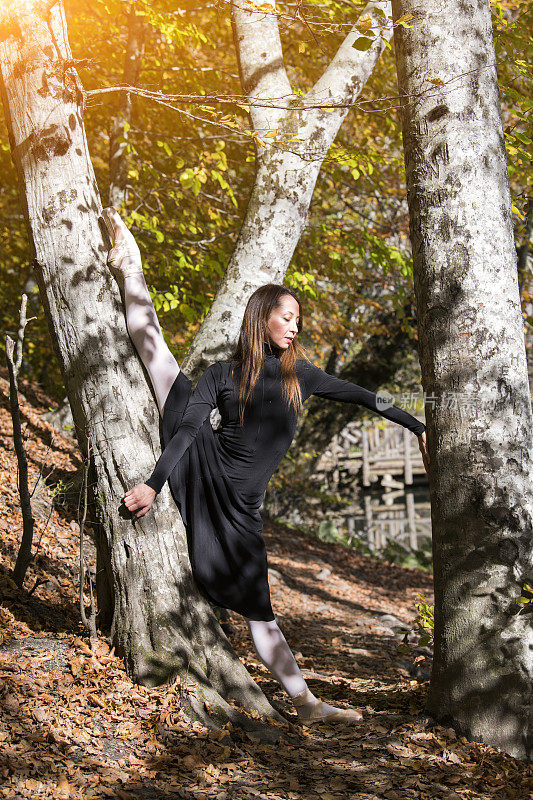 美丽的芭蕾舞演员在秋天的木上跳舞