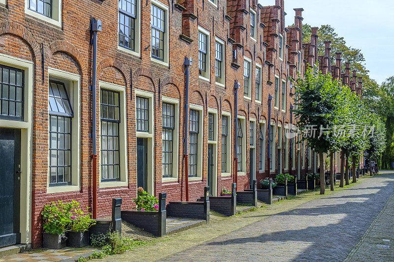 荷兰哈勒姆市的城市街道，有植物和花卉