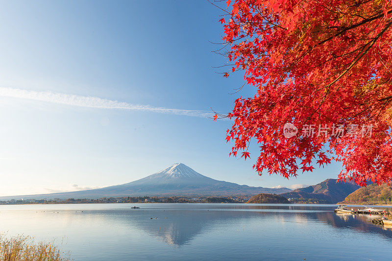 早晨的富士山和川口湖，秋季的富士山在山町。