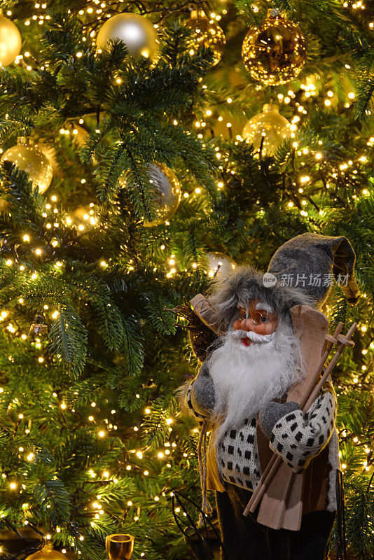 侏儒站在圣诞树前。