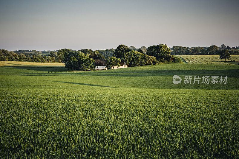 日落时典型的丹麦乡村场景