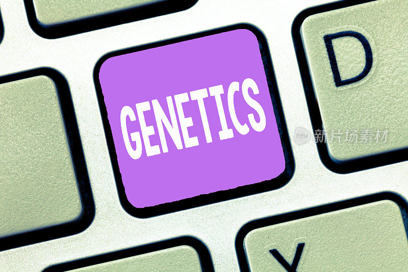 笔迹文本遗传学。对遗传和遗传特征变异的概念意义研究