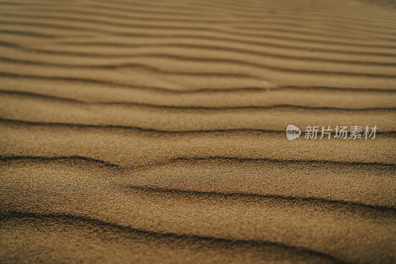 特写镜头砂背景