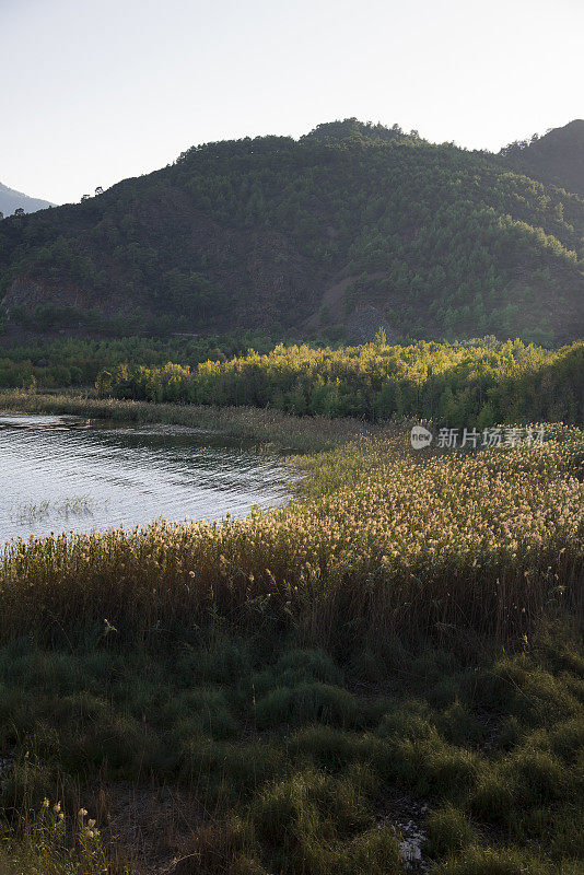 湖景