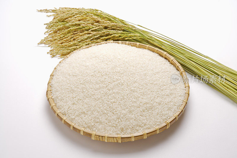 稻米,稻穗