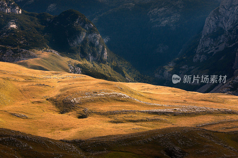 山区景观与羊附近的深峡谷