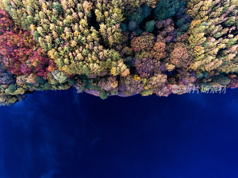 鸟瞰图的森林在秋天和蓝色的湖的一半