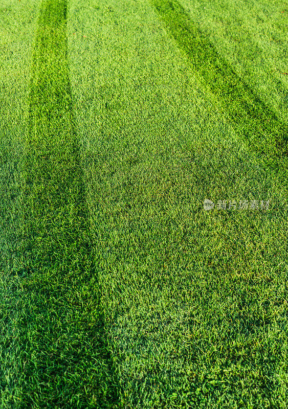 割草机在沾着露水的草坪上留下的痕迹
