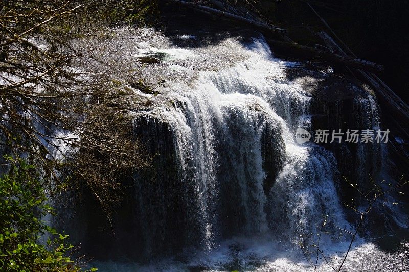 太。亚当斯融雪