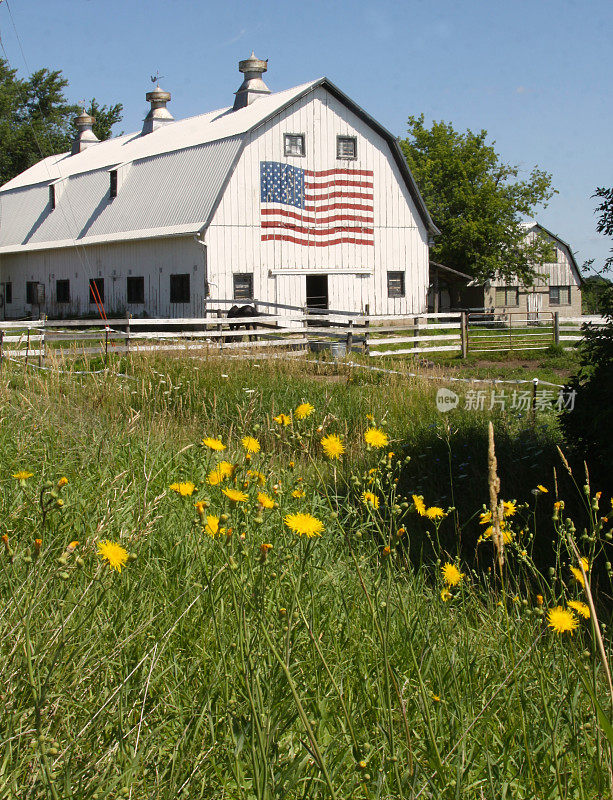 风化的谷仓和美国国旗