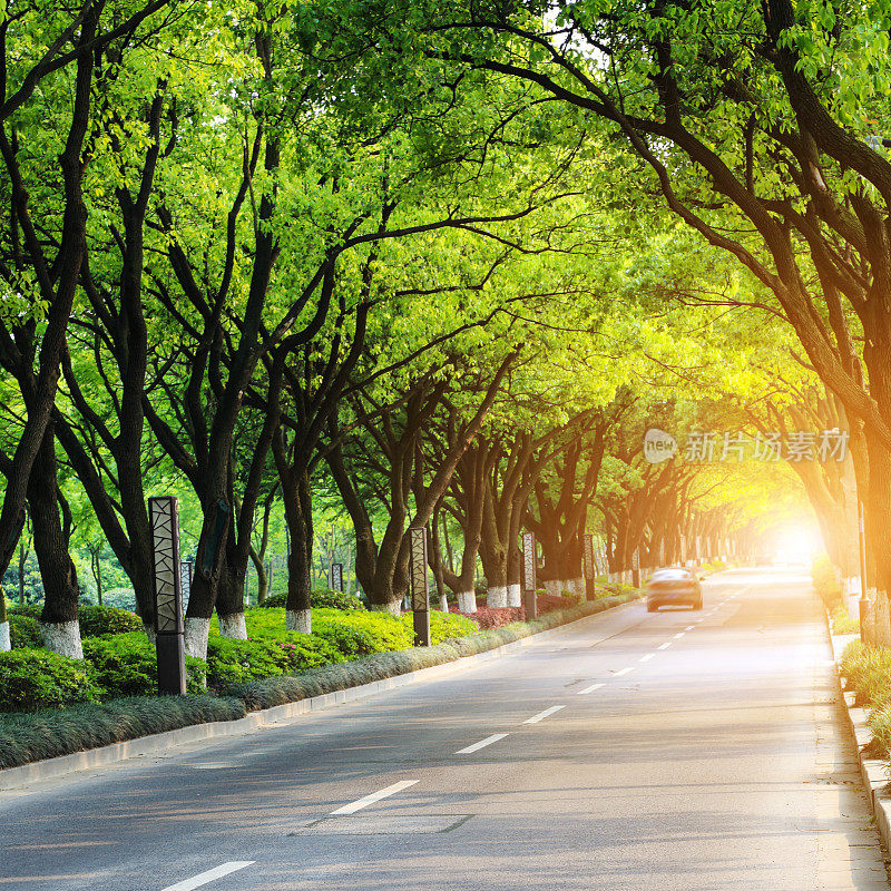 通往中国远郊的弯弯曲曲的道路