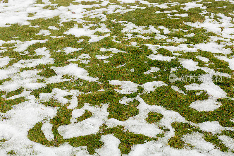 草地上的雪。