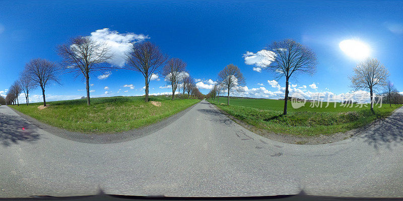 360度球面全景的柏油路与树木在下午-德国