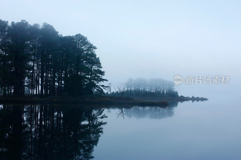 这个有雾的宁静的早晨，河口沿岸有树木