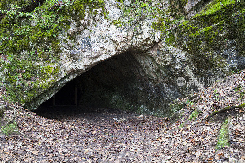 打开洞穴