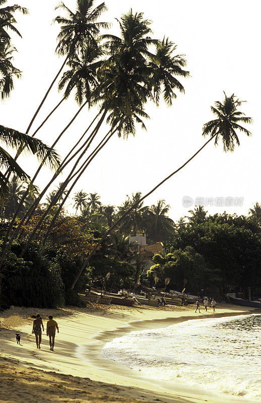 斯里兰卡，Hikkaduwa，海滩，椰子树。