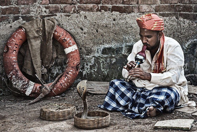 Snakecharmer在印度