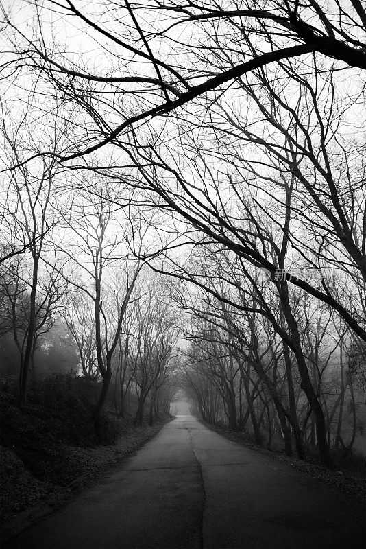 万圣节,闹鬼的道路