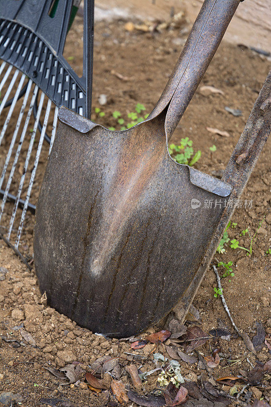 园艺工具铲子和耙子在泥土上