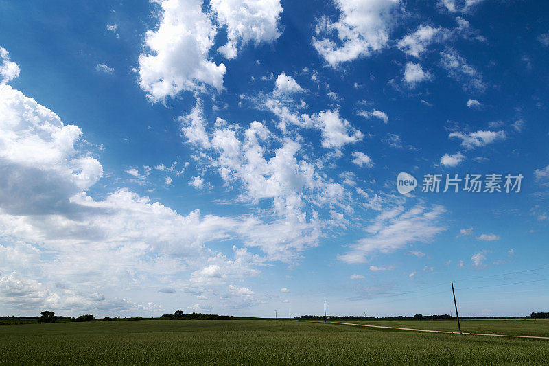 有机燕麦和大豆田的夏季云图