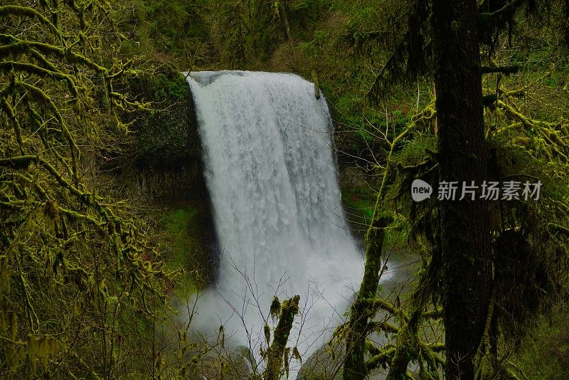 中北部瀑布雨林