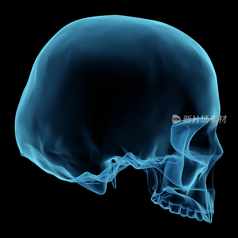 3D渲染就像x射线的人类头骨