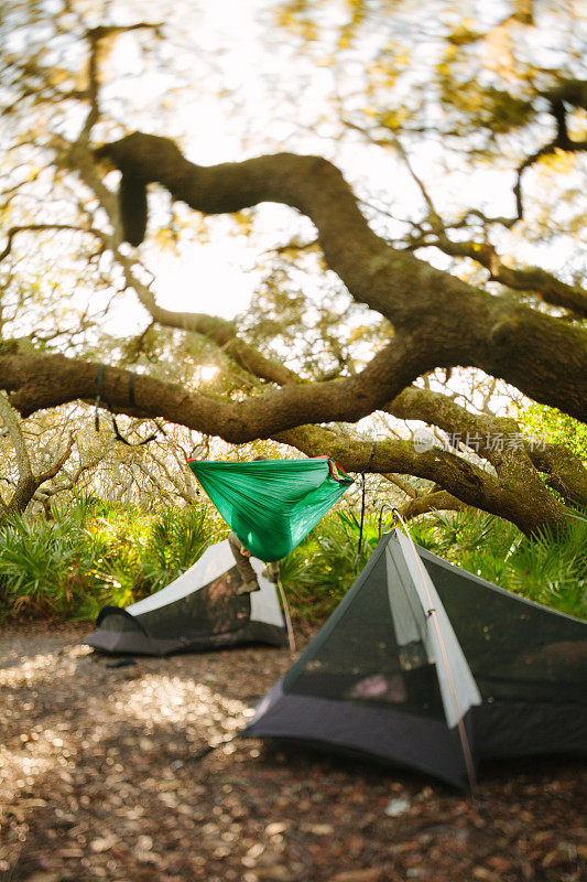 在坎伯兰岛露营时，两顶帐篷搭在树下