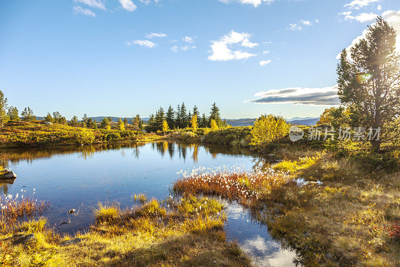 高山景观与白色的棉花草在湖在秋天。