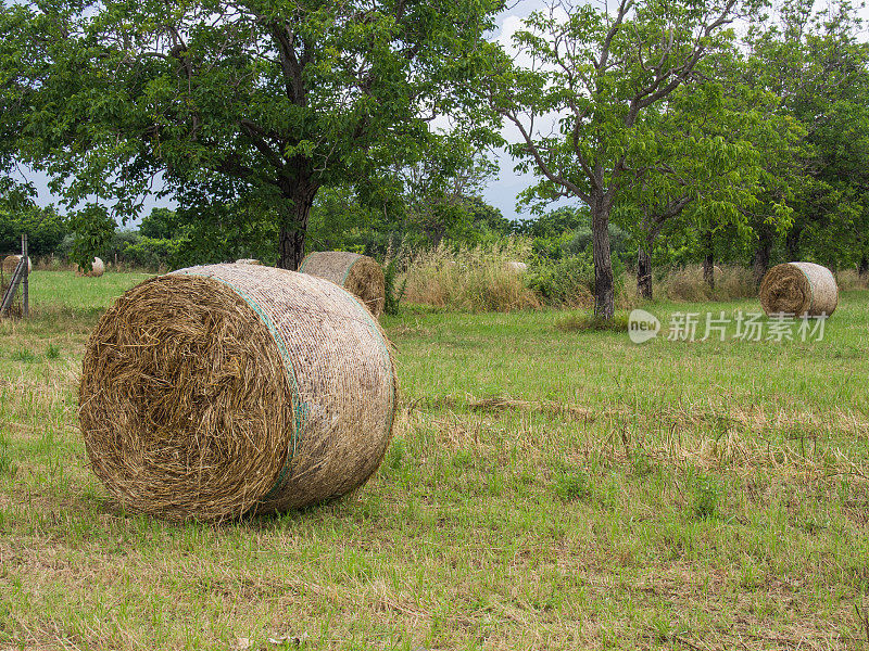 田里的干草堆