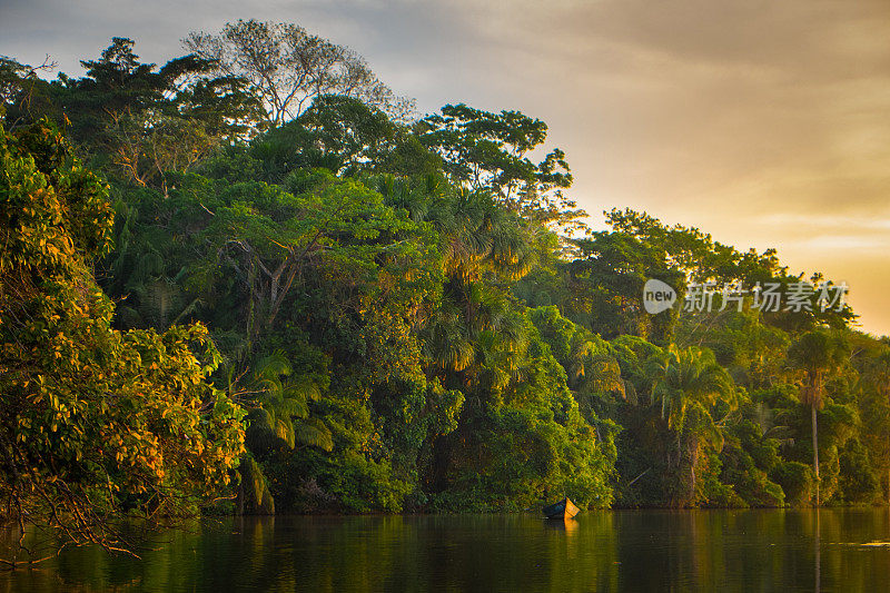 日落时分，在丛林里的河里划船
