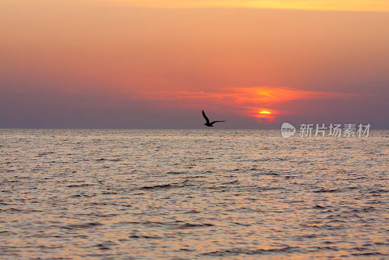 海上日落