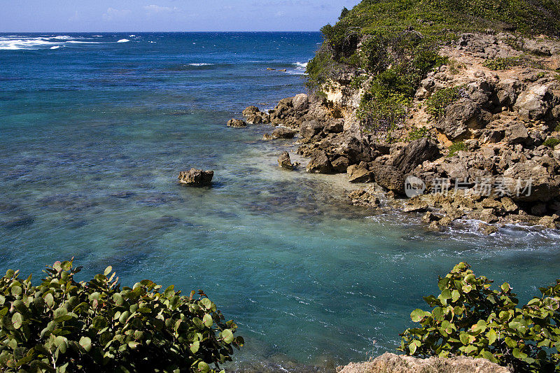 加勒比海海洋