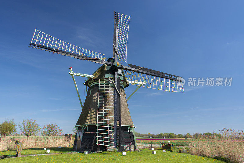 荷兰圩田中的风车