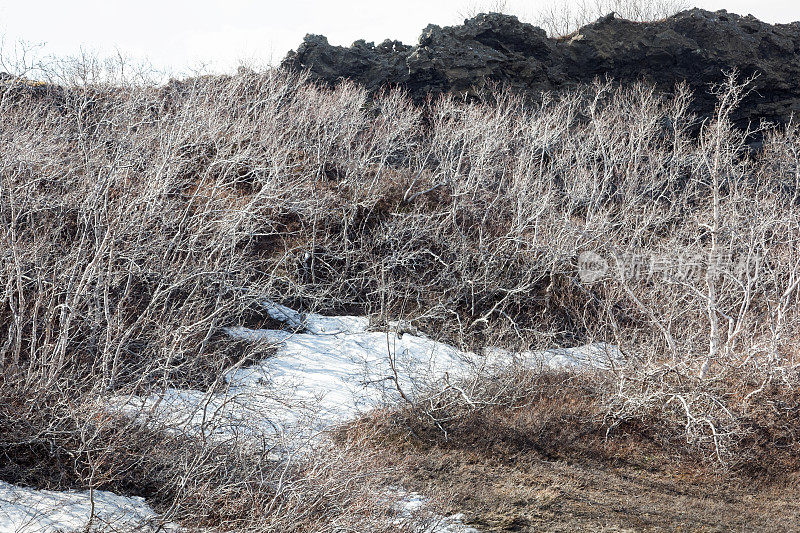 Dimmuborgir——冰岛著名的风景