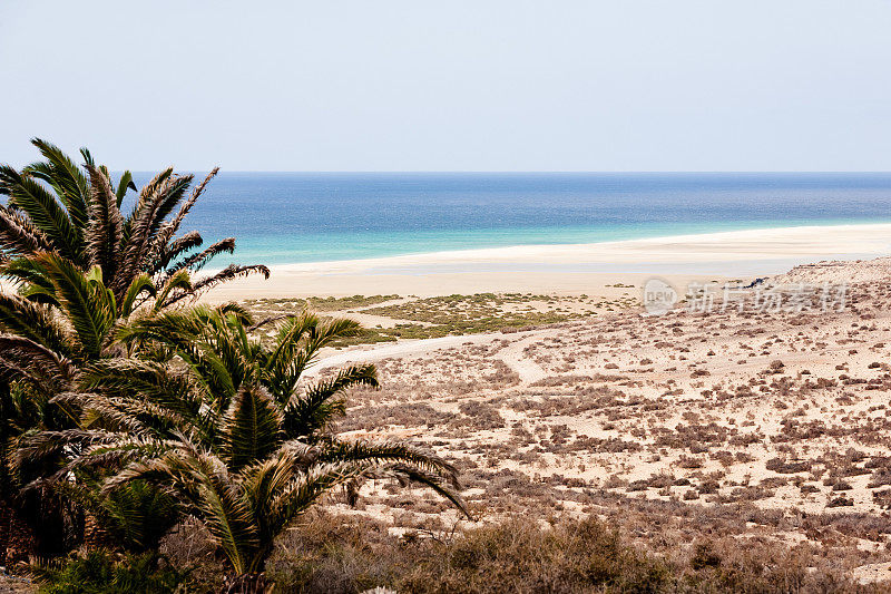 景观Fuerteventura