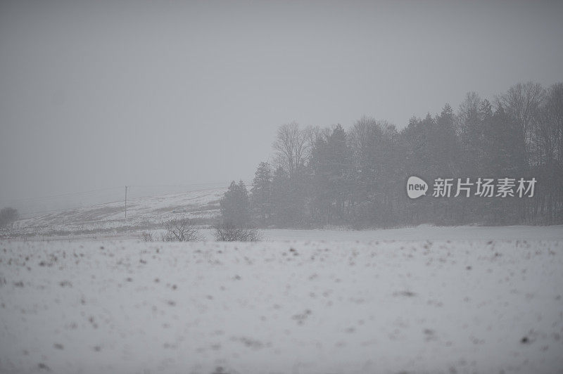 暴风雪