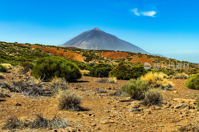 Teide山景观，Teide火山和Teide国家公园的熔岩风景-特内里费，西班牙