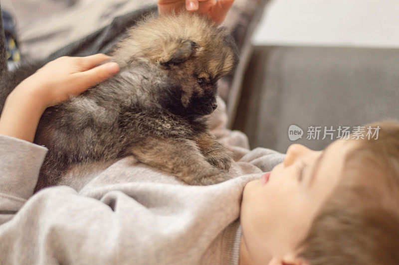 小男孩在和博美犬玩耍